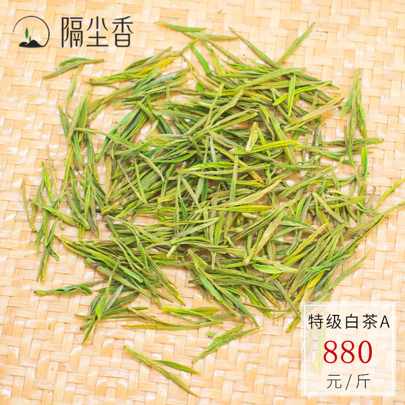 Белый чай, 2025 года