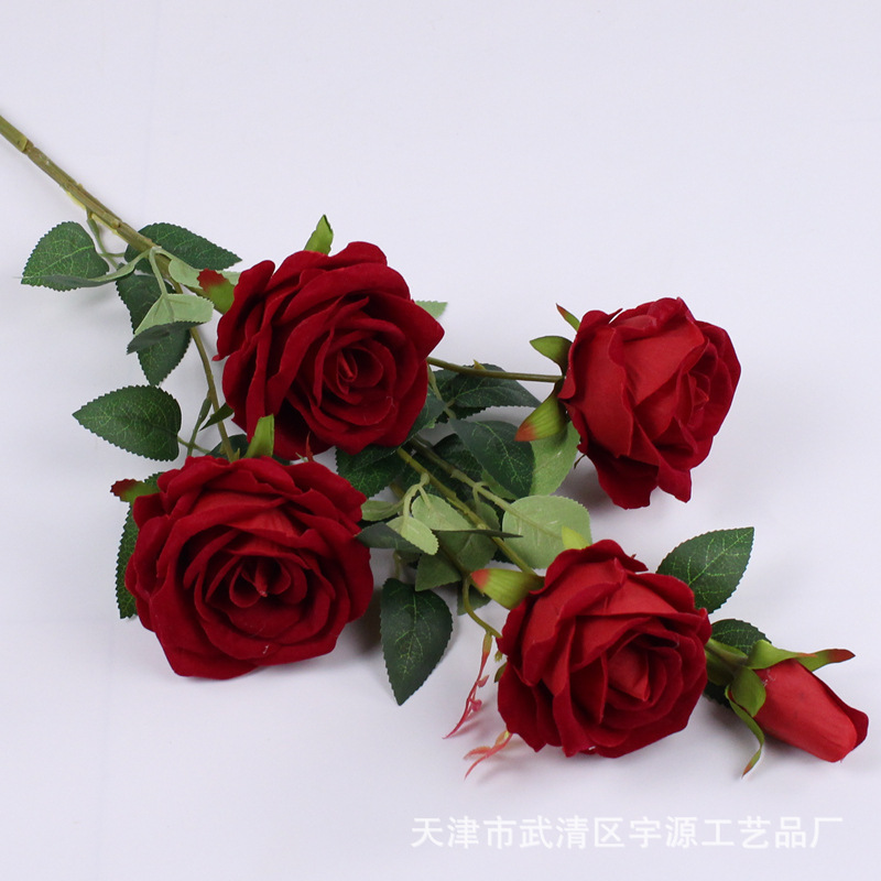 레드