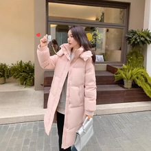 qŮ2025¿nrдaӺBñLq