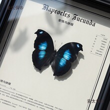 �����B͐�������˱��b���ˇƷ�Y�������x��Ҋ�ҾӔ[������̫��