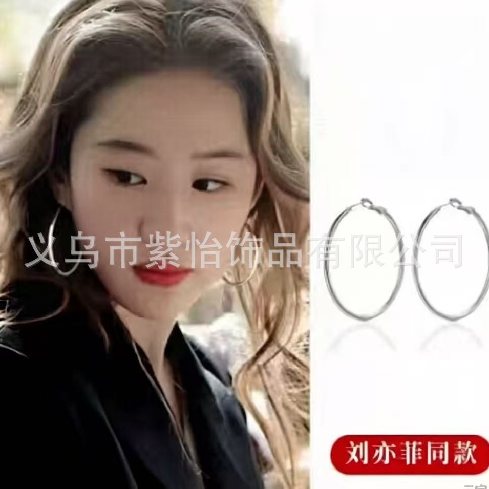 Medical Steel Titanium Steel Earrings for Women, High-End Large Earrings, 2025 New Popular Ear Piercing Plain Hoop Earrings, Earrings