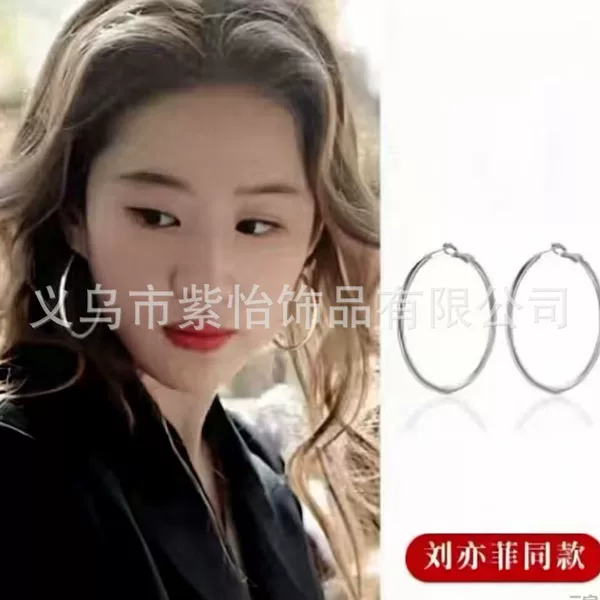 Medical Steel Titanium Steel Earrings for Women, High-End Large Earrings, 2025 New Popular Ear Piercing Plain Hoop Earrings, Earrings