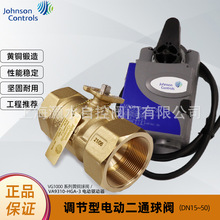 ��ɭVG1000ϵ���S�~VA9310-HGA-3�{����늄Ӷ�ͨ���yAC/DC24V