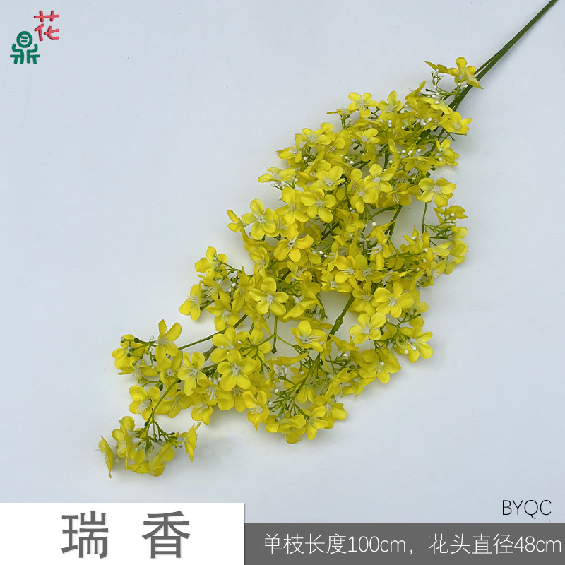 Dixiang BYQC 노란색
