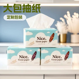 抽纸;面巾纸;卫生纸/卷纸