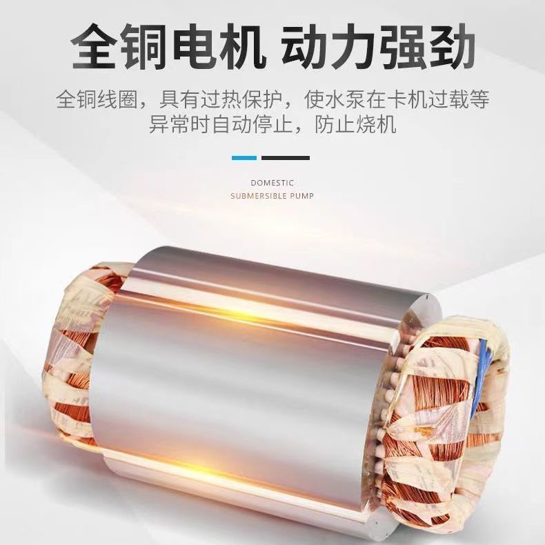 All-Copper Household Car Washing Machine High-Power Electric Water Gun Cleaning Machine High-Pressure Car Washing Machine Water Gun 220V Automatic Portable