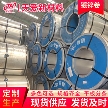 �F؛��\����\���FƤ�����\���_ƽ�֗l���DX51D+Z80 ��\����