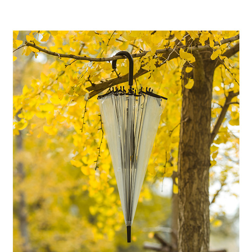 A large wholesale set of 16 transparent automatic umbrellas, Japanese-style fresh and light long-handled umbrellas, sturdy and suitable for both men and women as a couple umbrella.