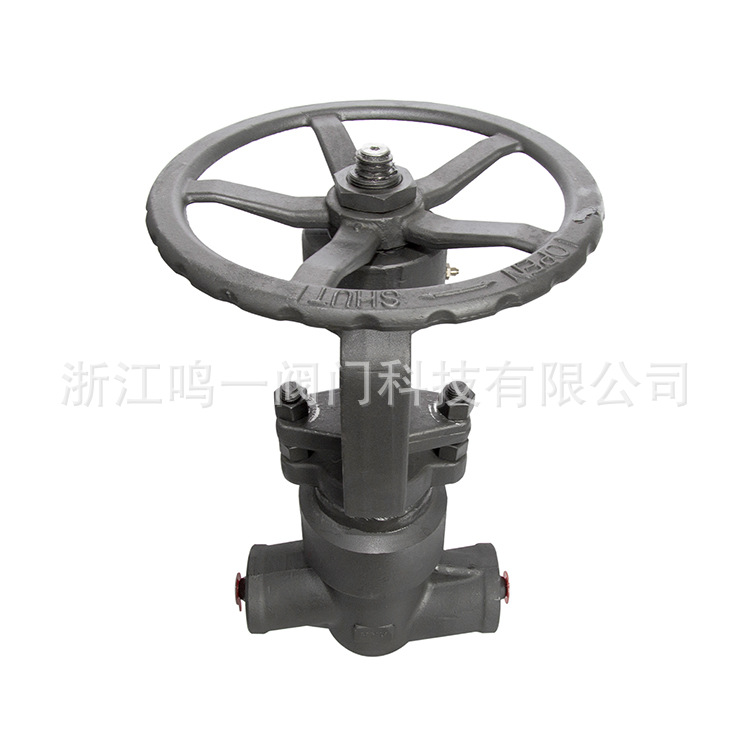 4500LB锻造超高压手动截止阀闸阀高压中部焊接自密封闸阀截止阀