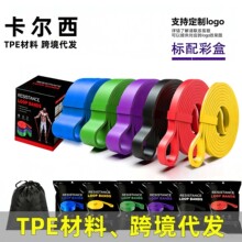 TPE ���������w����ؓ���٤����������������������Ȧ���펧����