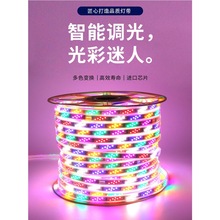 2026���R�������ˮ���W�􎧗lledܛ���l�b��߲��޺��W�����R��