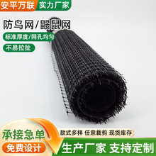 ���@���B�W���������x�W�������q�Bֳ���љ��Ҙ�O�W