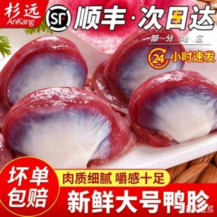 ����S���]�����r����������θ�������r���� ����؛�����uζʳ��