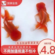 �t�{���~���{�~��ˮ�~С���~���~��ˮ�\���~�^�p�~���B�ͻ�Ӝ�