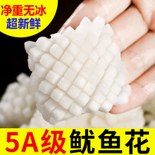 鱿鱼花生鲜墨鱼花目鱼花鱿鱼卷火锅食材日料烧烤冷冻海鲜大鱿鱼花