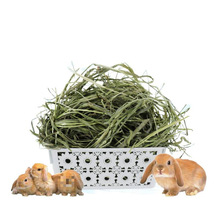 òݕĦݰݚwlጙĪɲݰ]l