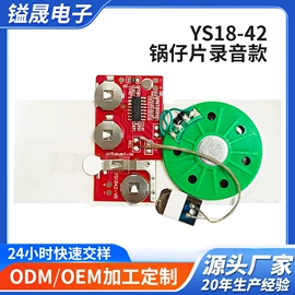 玩具配件;集成电路;电子模块