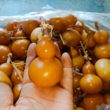 ������J�ְѼ������^���fС���J������Ȼ��Ʒ���С�P��Ů���ĳ�