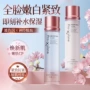 抗皱保湿补水紧致樱花