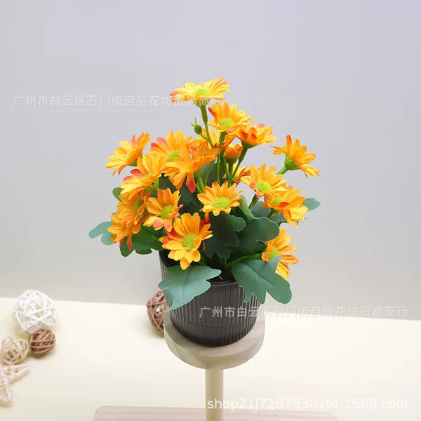 [21 little daisies, evening red + brown striped pot]