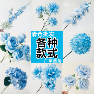 �\�{ɫϵ��c���滨�ŵ��Ž����ٻ��Ļ�Y�����{·���b�ˇ���l