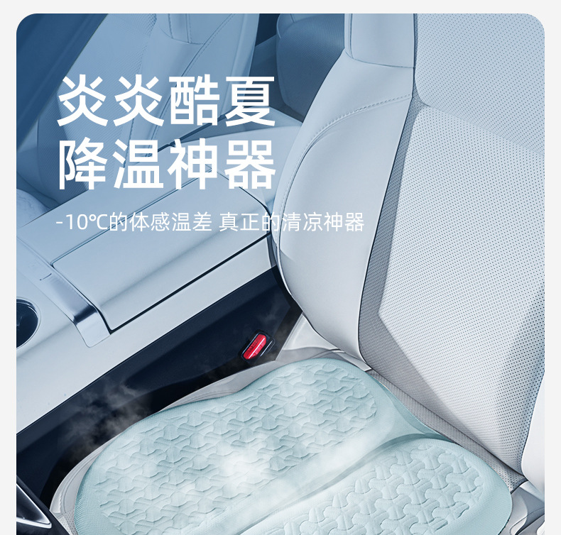 Joe's Car Products 24 Years Cool Summer Cushion Z-602