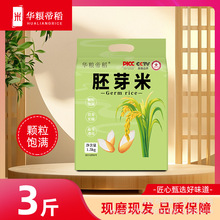 ѿ1.5kg ir 2025 СѿIB ɰlѿ 峣аl؛