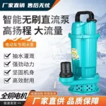 无刷智能直流潜水泵48V60V72V通用大流量电动电瓶车抽水泵抽水机