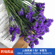 勿忘我永生花干花批发自然风干真花云南直发家居客厅装饰摆设花材