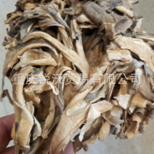 1�������l��؛��Ʒ�Ҙ仨ؐ�~��׾���Ģ��ǧ��������׸�؛