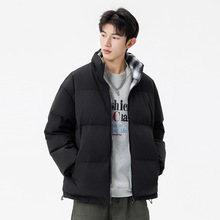 �p�洩��ʿ��q��2025����P�����I�������y���׺�ů�����