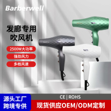 羳Ʒ늴L2500WʸٴLͲlȐaشLôLC