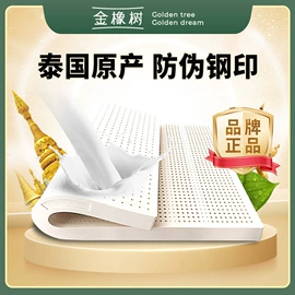 乳胶枕;乳胶床垫;其他内衣