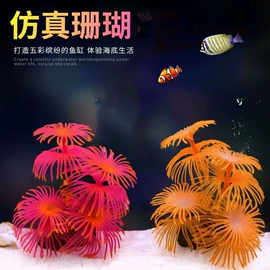 造景/装饰;鱼缸;水族照明设备