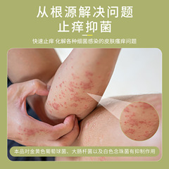 Huainan Hall Miao Nationality Toxic Insect Antiseptic Ointment Itch Cream Four Seasons Skin Wholesale External Use Herbs Itch Lotion Herbs Ointment