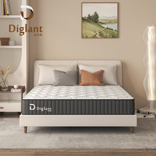 Diglantϯ��˼���������ɴ��|���S��߅�ӹ̉��s���������޴��|