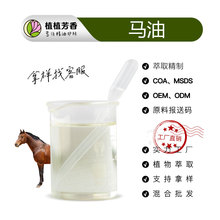 马油 Horse oil马油脂肪 马油按摩膏原料 基底油原料厂家批发直供