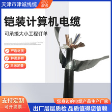 �S�ҹ���ZR-DJYP2YP2-23-2*2*1��ȼ�~������Ӌ��C��|�z�b