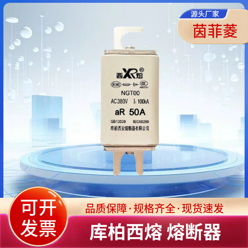 RSG-2 1000V/350A-PK 800V/400A-P 500V/400A-PK库柏西熔熔断器