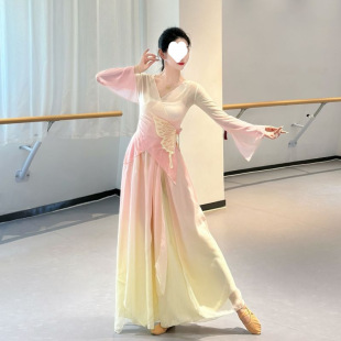 Classical Dance Body Rhyme Gradient Practice Butterfly Fairy Top Gauze Elegant Chinese Dance Performance Costume Set