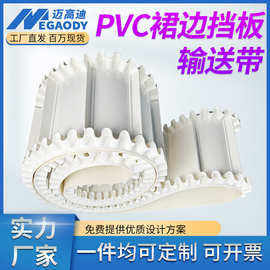 厂家供应食品级白色PVC裙边挡板输送带果蔬加工茶叶提升机传送带