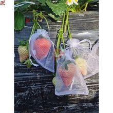 水果防虫果子防鸟保护草莓袋网袋透气番茄蓝莓套袋专用袋防虫网袋