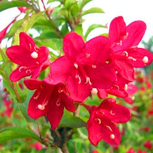 �t�����\������@�־G����ľ����ͥԺֲ��G�h��