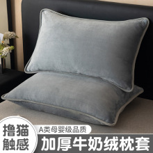 ؐؐ�qţ�̽q����һ���b����48x74�������^��2025�¿���о�׶���