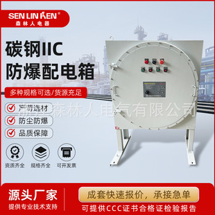 Carbon Steel Iic Explosion-Proof Distribution Box Outdoor Dust Touch Screen Control Cabinet Stainless Steel Explosion-Proof Socket Maintenance Box