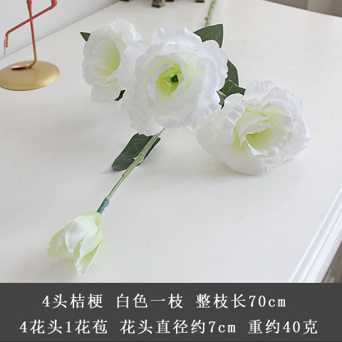 화이트