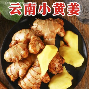 �����С�S���t�����r�����Ͻ��F�ڸ�ɽɳ�������N���߲˽�