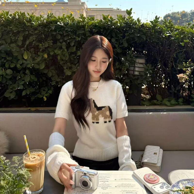 Little Pony Jacquard Round Neck Sleeveless Knitted Sweater for Women, Spring Design, Soft and Comfortable Base Layer Top Little Pony Jacquard Round Neck Sleeveless Knitted Sweater for Women, Spring Design, Soft and Comfortable Base Layer Top
