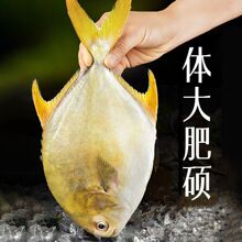 ��̖���K�~�r���ك����rˮ�a���r���~�y�K�~���~������rֱ�l