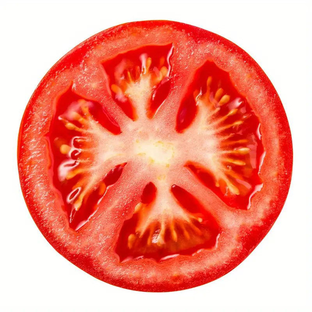 150x150 (플란넬 담요 280g) 7